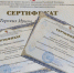 Педагогика дистанционного образования - ТГПИ