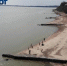 Вода в Таганрогском заливе становится более пресной - Bloknot-Taganrog.Ru