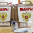 Стартовало предварительное голосование на довыборы в городскую Думу Таганрога - Газета Таганрогская правда