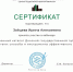 Онлайн-вебинары для библиотекарей - ТГПИ