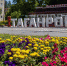 Виктория Тер-Вартанова написала президенту, «когда был свободный час на работе» - RuffNews.Ru