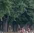 Экономия и благоустройство «по-таганрогски» - Bloknot-Taganrog.Ru