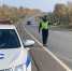 Задержание нарушителя. Фото пресс-службы МВД РФ. - RuffNews.Ru