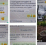 «Блокнот Таганрог»: наши маленькие и большие победы - Bloknot-Taganrog.Ru