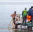 Крещенские купания в Таганроге - Bloknot-Taganrog.Ru
