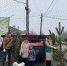 Таганрожцы подарили новогодним зелёным красавицам вторую жизнь - Bloknot-Taganrog.Ru