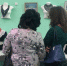 Выставка «Февральские кружева» открылась в библиотеке Таганрога - Газета Таганрогская правда