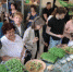 d4b8ef4b81469863c67ef5d8f856f355_500_340_cropped.jpg - Администрация г. Таганрога