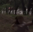 В Таганроге двум школьницам назначили меру пресечения по делу о жестоком избиении - Bloknot-Taganrog.Ru