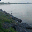 Специалисты запретили вылов судака и тарани в Азовском море и Таганрогском заливе - Bloknot-Taganrog.Ru