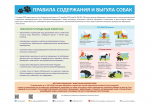 Памятка о правилах содержания и выгула домашних животных