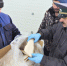 Из Таганрога отправили на экспорт более 7 тонн рыбы - Газета Таганрогская правда