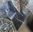 Житель Дона в память об отце хранил дома 120 боевых патронов - Газета Таганрогская правда