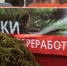 Подводим итоги  акции «Елки в переработку!» 2025. - Bloknot-Taganrog.Ru