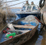 ФСБ накрыла в Таганрогском заливе Азовского моря браконьерскую группу - размах большой - Bloknot-Taganrog.Ru