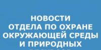 ЭКОЛОГИЯ.jpg - Администрация г. Таганрога