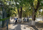 Таганрожцам предложили принять участие в субботнике