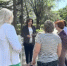 В Ростове на Пушкинской сносят аварийные деревья - DonDay-Taganrog.Ru