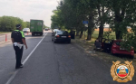 Под Таганрогом женщина на иномарке врезалась в дерево, пострадали трое