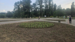 Зеленые насаждения на Пушкинской набережной до сих пор не восстановили