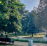 Июнь в Таганроге. Фото ruffnews.ru - RuffNews.Ru