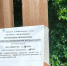 Обработка рощи Дубки от клещей: что нужно знать таганрожцам - Bloknot-Taganrog.Ru