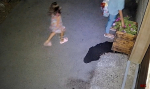 Фото: скрин из видео