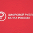 Жителям Таганрога рассказали о начале использования цифрового рубля с 1 октября 2025 года - Газета Таганрогская правда