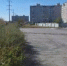 В Таганрога улица Чуева заросла амброзией - DonDay-Taganrog.Ru