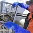 Около 1500 особей русского осетра выпущено в водоем-охладитель Ростовской АЭС - Газета Таганрогская правда