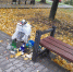 Сквер у Нового вокзала обещают привести в порядок уже сегодня - Bloknot-Taganrog.Ru