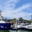 ГИМС в Таганроге. Фото ruffnews.ru - RuffNews.Ru