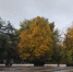 Дожди прогнозируют на выходных в Таганроге - DonDay-Taganrog.Ru
