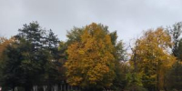 Дожди прогнозируют на выходных в Таганроге - DonDay-Taganrog.Ru