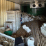 Донской предприниматель похитил рыбную продукцию стоимостью более 2,3 млн рублей - Газета Таганрогская правда