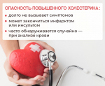 «Плохой» холестерин и холестериновые бляшки: популярный миф развенчали таганрогские врачи