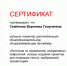 Профессор кафедры русского языка, культуры и коррекции речи Вероника Георгиевна Семёнова приняла участие в интенсиве по применению генеративных нейросетей - ТГПИ