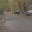 Пеньковые гномики заполонили Таганрог, жалуется местный автомобилист - Bloknot-Taganrog.Ru