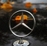 Знак Mercedes-Benz. Фото Константина Франовского / Коммерсантъ - RuffNews.Ru