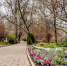 Аллеи в парке Горького. Фото ruffnews.ru - RuffNews.Ru