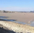 Уровень воды в устье реки Дон снизился до неблагоприятных отметок - DonDay-Taganrog.Ru