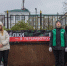 В Таганроге начали работать пункты по сбору новогодних деревьев - Газета Таганрогская правда
