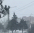 Снегопад в Таганроге заставил власти усилить контроль за уборкой города - Газета Таганрогская правда