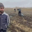 Почти 102 тысячи иностранцев были поставлены на учет в Ростовской области в прошлом году - Газета Таганрогская правда