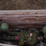 Военнослужащие по контракту на полигоне ЮВО прошли курс тактической медицины - Газета Таганрогская правда