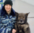 На Дону полицейский пёс Вегас совершил более 11 тысяч выездов за 10 лет службы - Газета Таганрогская правда