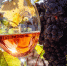Донские виноделы завоевали высшие награды на авторитетном конкурсе TERRAVINO-2026 - Газета Таганрогская правда