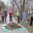 На Старом кладбище Таганрога прошел субботник у захоронения геральдиста Лакиера - Газета Таганрогская правда