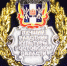 Нагрудный знак «Лучший работник культуры Ростовской области». Фото пресс-службы администрации Ростова-на-Дону - RuffNews.Ru