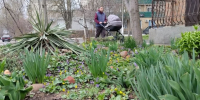 Погода в Таганроге 29 марта: тепло, облачно, во второй половине дня обещают небольшой дождь - Газета Таганрогская правда